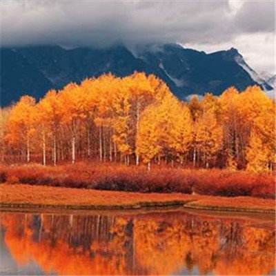 Meta和谷歌在社交媒体成瘾案中被判承担责任