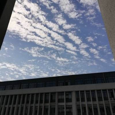 影石的压力，不止被起诉